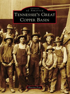 cover image of Tennessee's Great Copper Basin